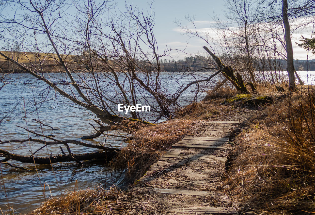 SCENIC VIEW OF RIVER AMIDST TREES AGAINST SKY