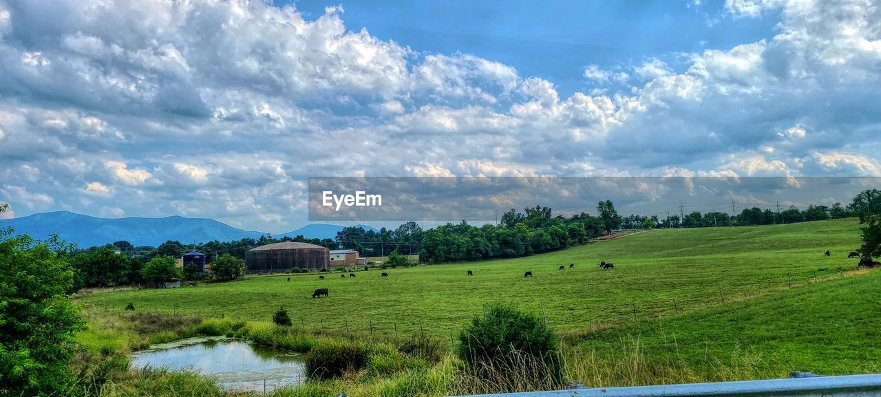 PANORAMIC VIEW OF LANDSCAPE