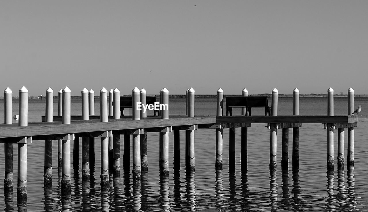 water, black and white, pier, monochrome, monochrome photography, sky, nature, sea, no people, wood, clear sky, day, tranquility, in a row, reflection, wooden post, scenics - nature, horizon, dock, beauty in nature, waterfront, architecture, built structure, outdoors, bird, tranquil scene, post, beach, animal, transportation, travel destinations, animal themes