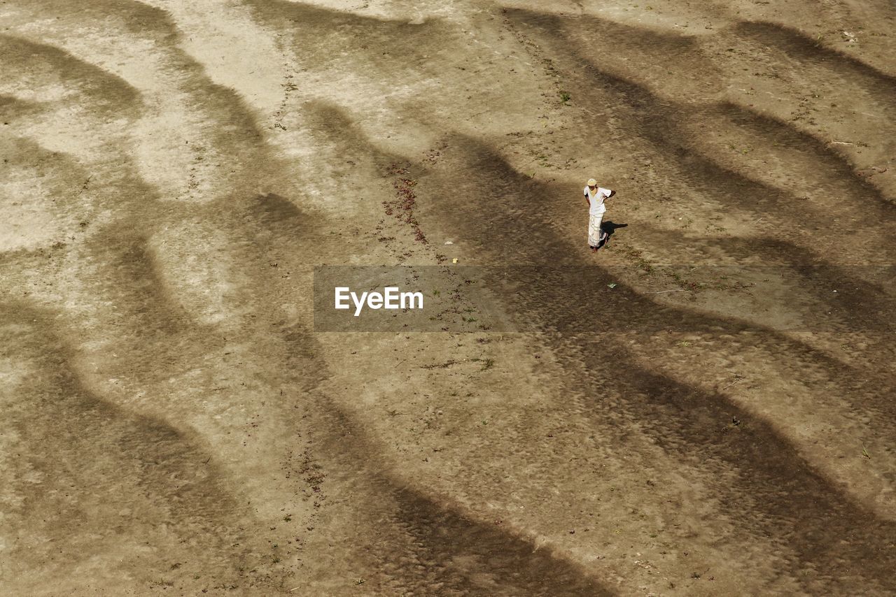 High angle view of people walking on sand