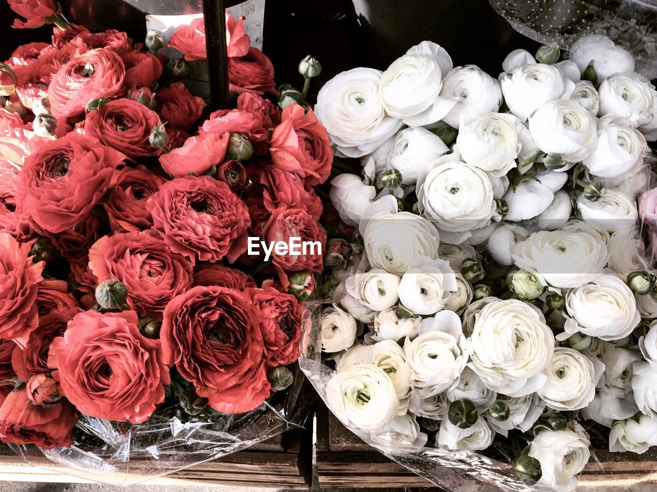 HIGH ANGLE VIEW OF FLOWERS IN MARKET