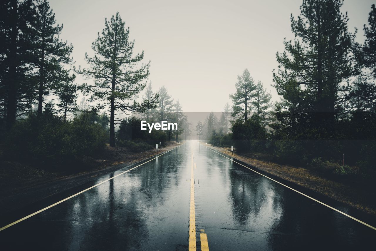 Wet road amidst trees against sky during rainy season