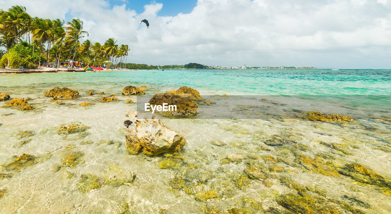 SCENIC VIEW OF BEACH