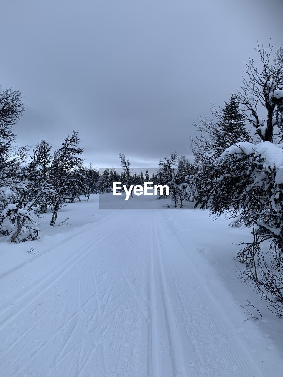 SNOW COVERED ROAD AGAINST SKY