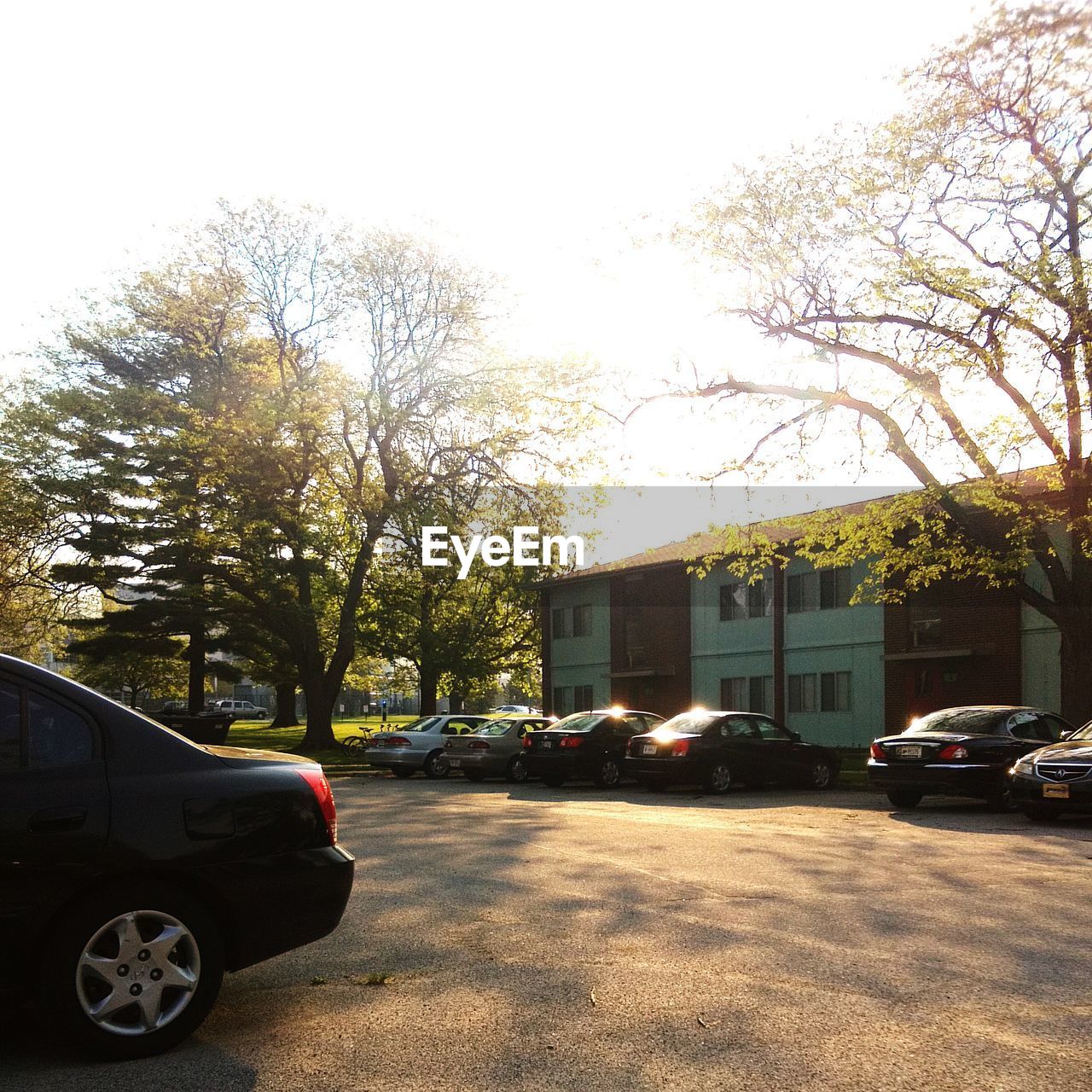 Parked vehicles against buildings