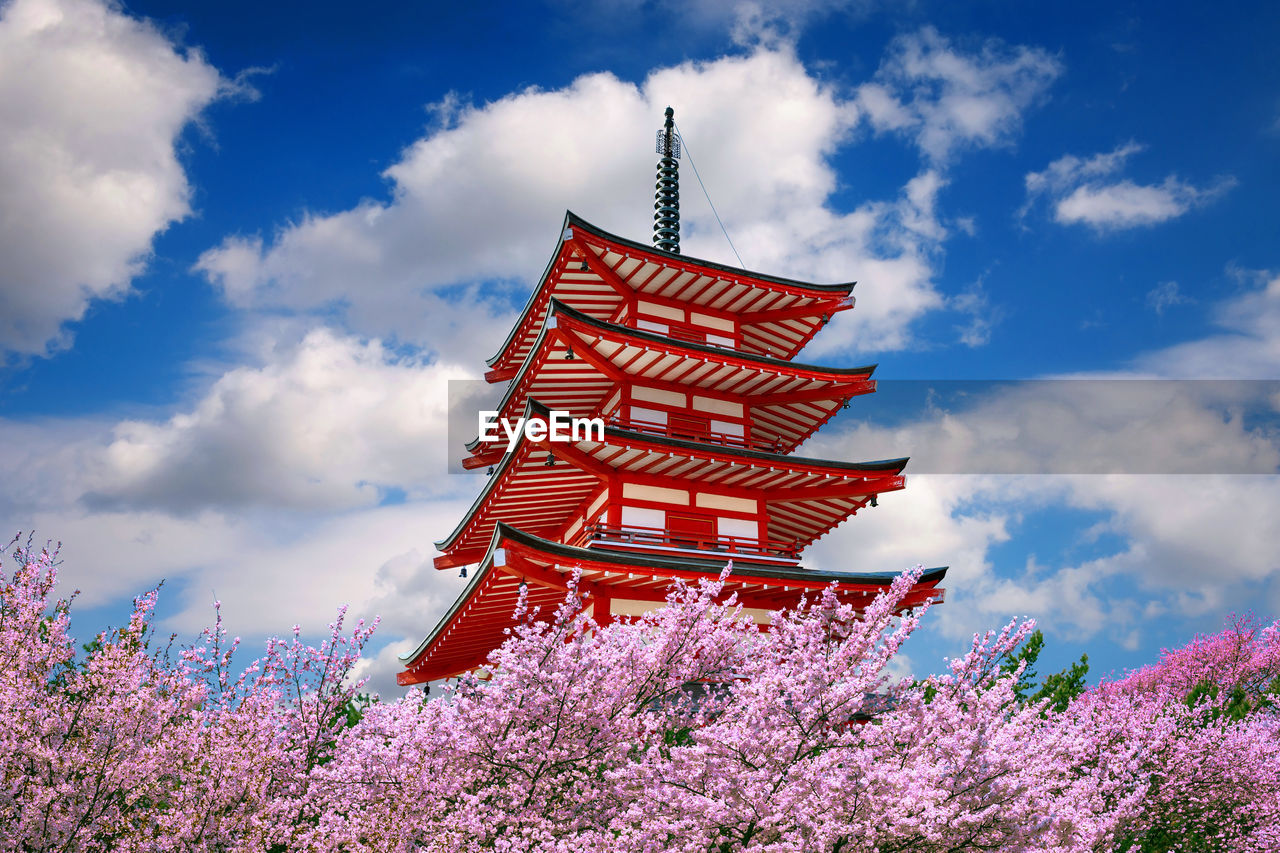 LOW ANGLE VIEW OF FLOWERING PLANT AGAINST CLOUDY SKY