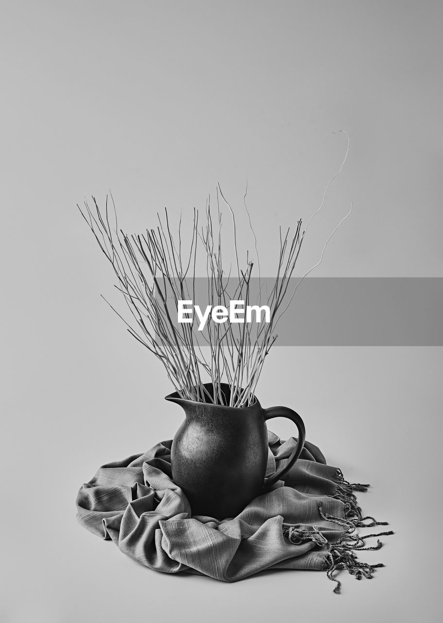 CLOSE-UP OF PLANT IN VASE ON TABLE