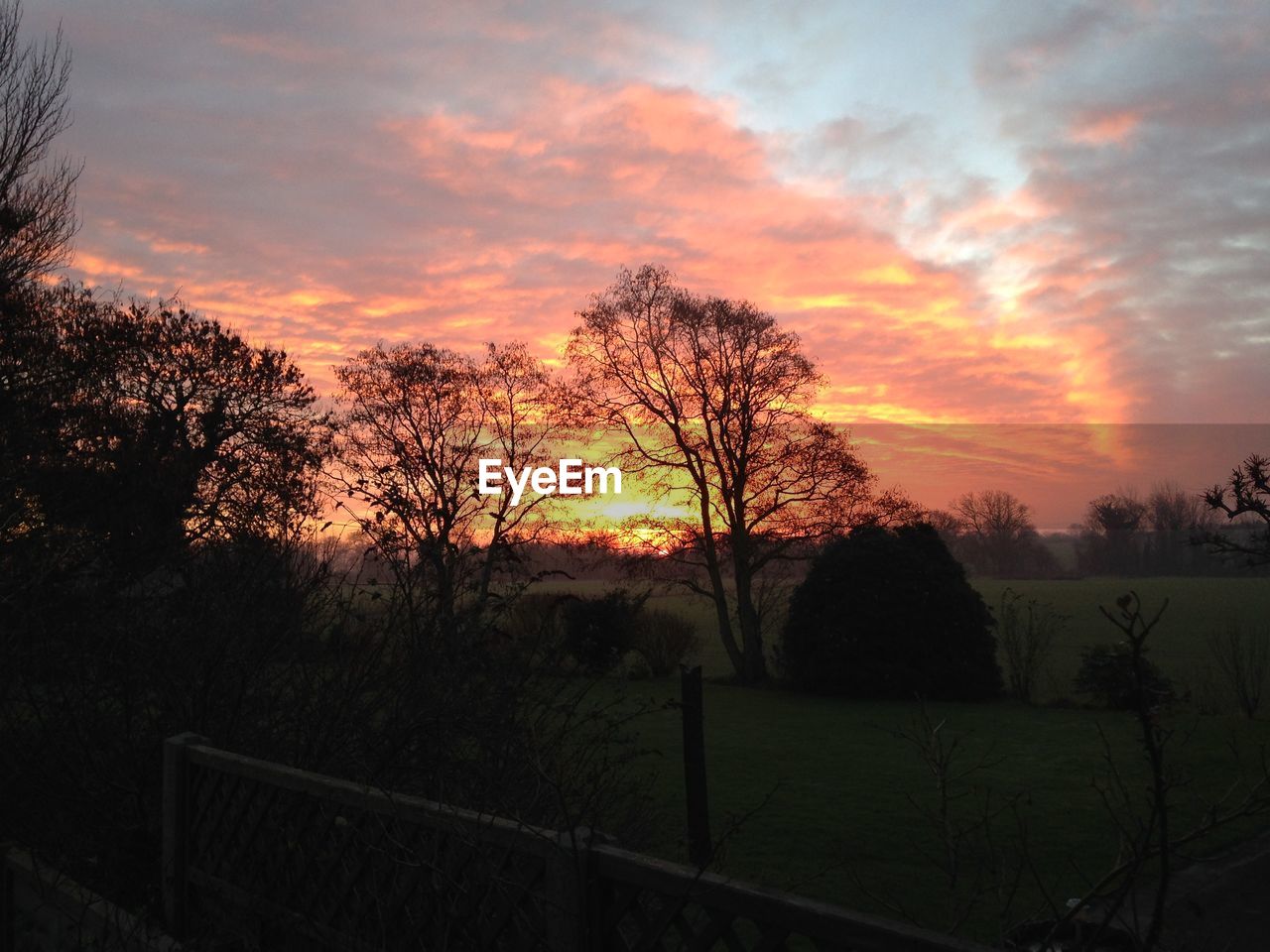 SILHOUETTE OF TREES ON LANDSCAPE AT SUNSET