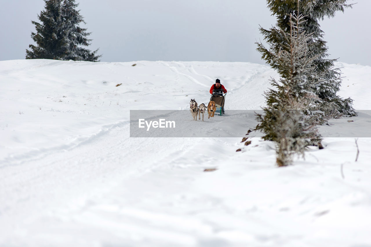 PEOPLE RIDING HORSE IN WINTER