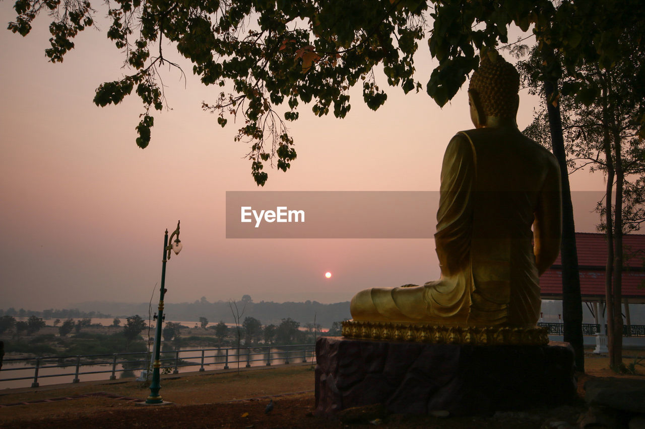 REAR VIEW OF MAN STANDING BY TREE AGAINST SKY DURING SUNSET