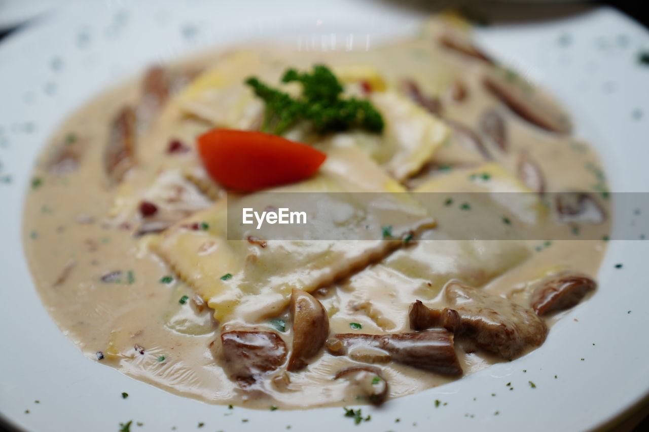 CLOSE-UP OF FOOD SERVED ON TABLE