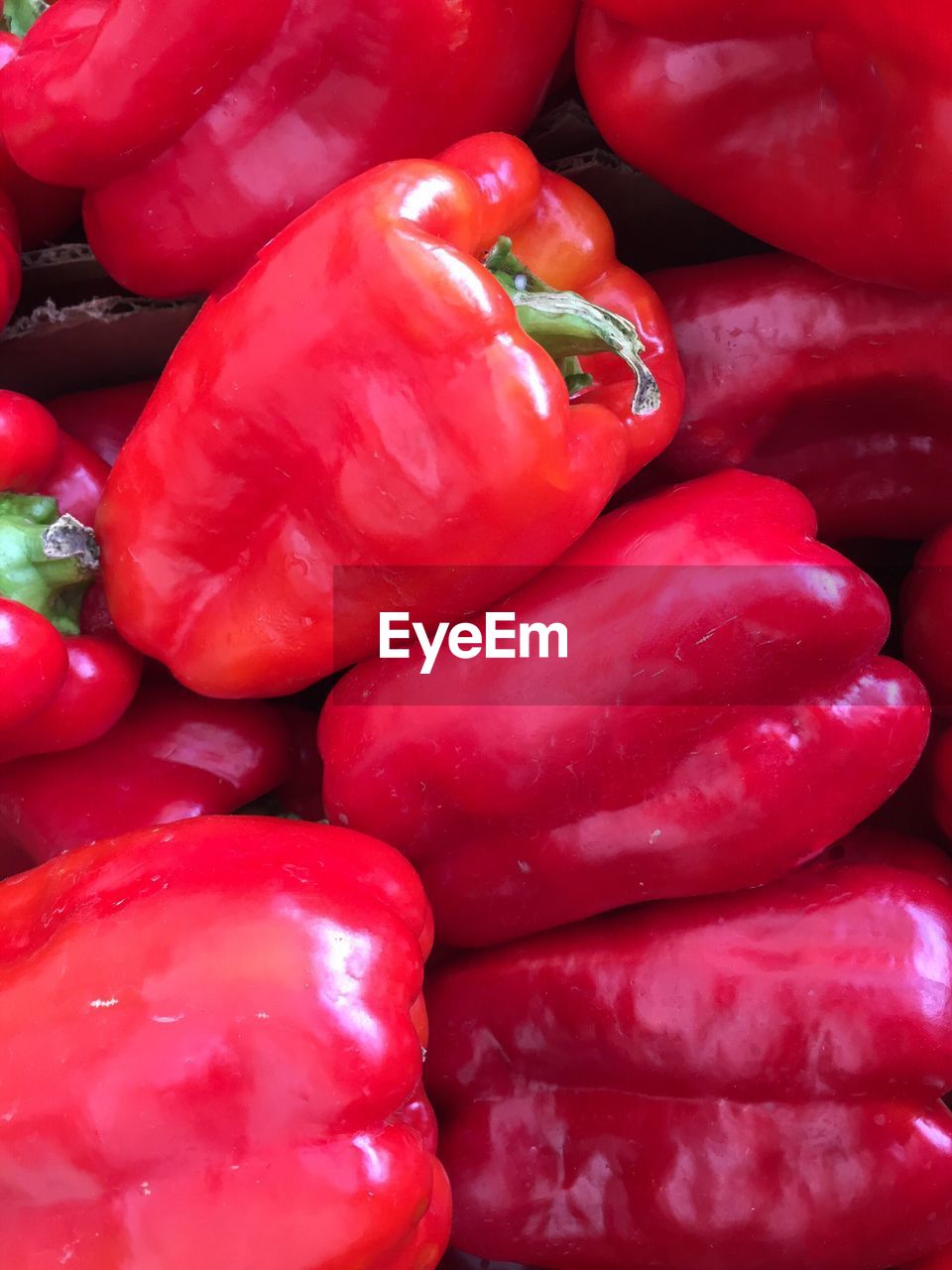 FULL FRAME SHOT OF TOMATOES