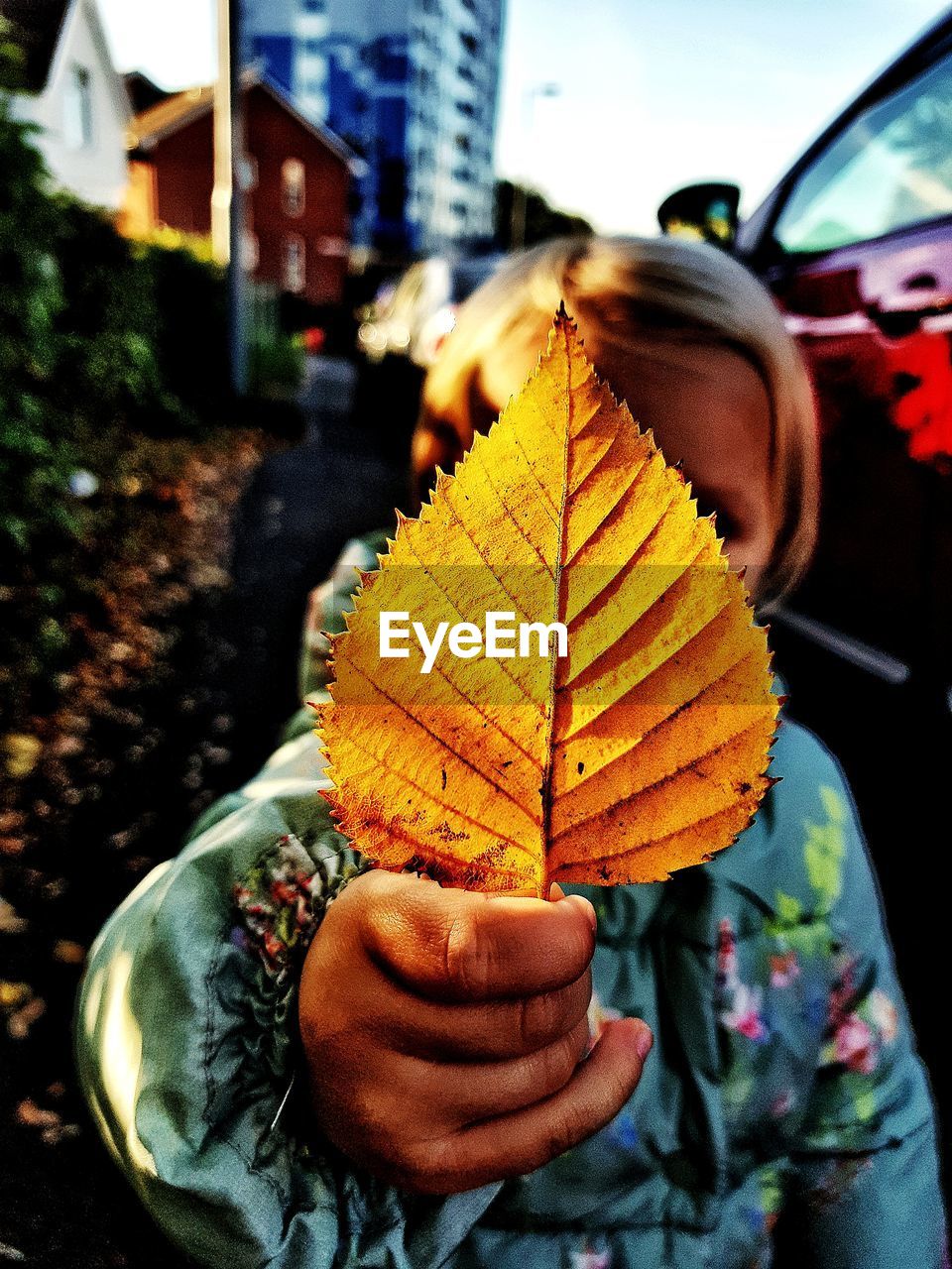 Close-up of girl holding autumn leaf while standing outdoors