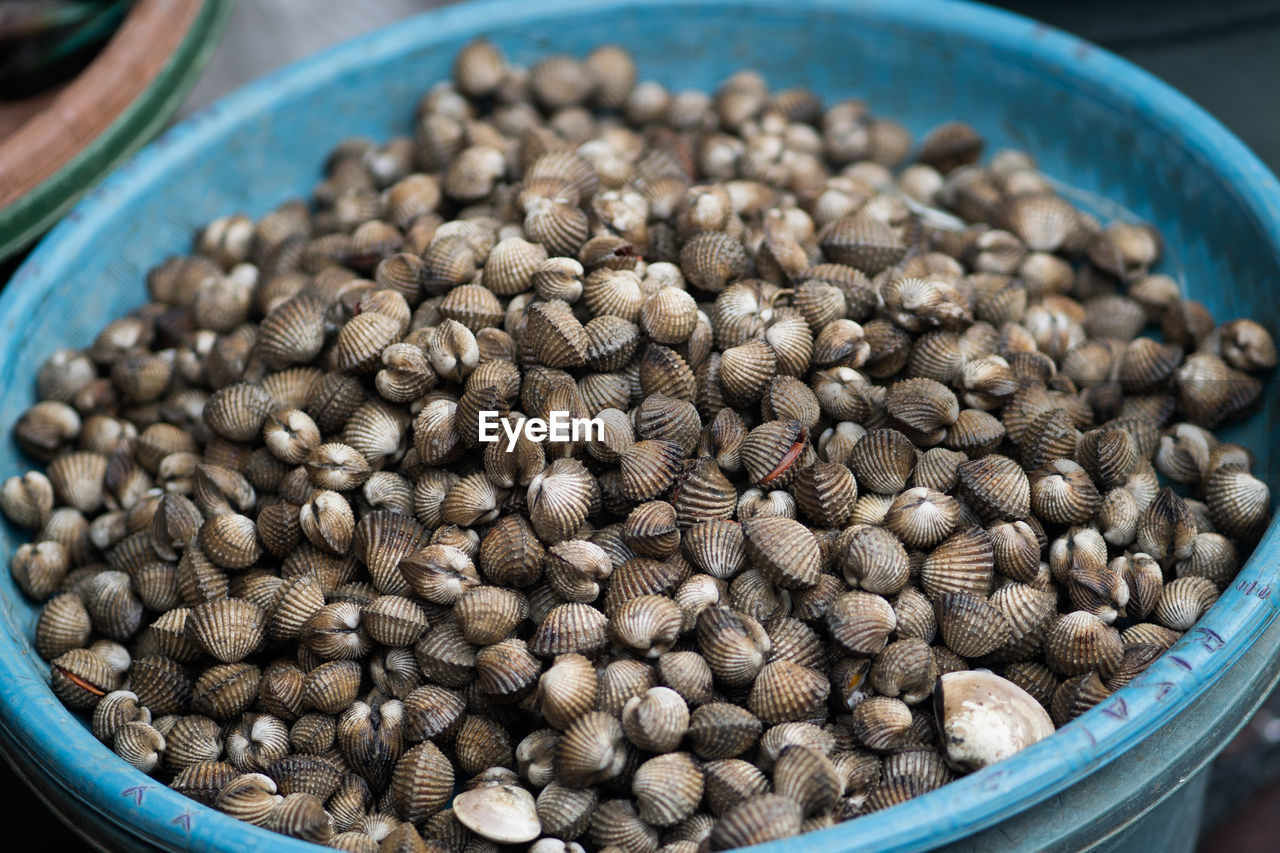 Clams in the plastic container sold in fish market.