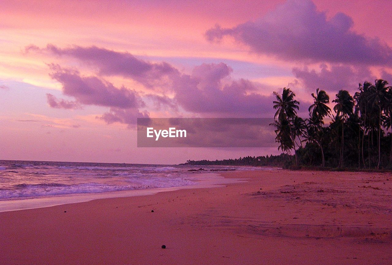 SCENIC VIEW OF BEACH AT SUNSET