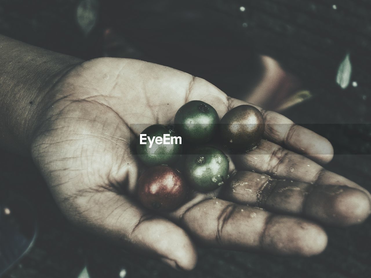 Close-up of man hand with fruits