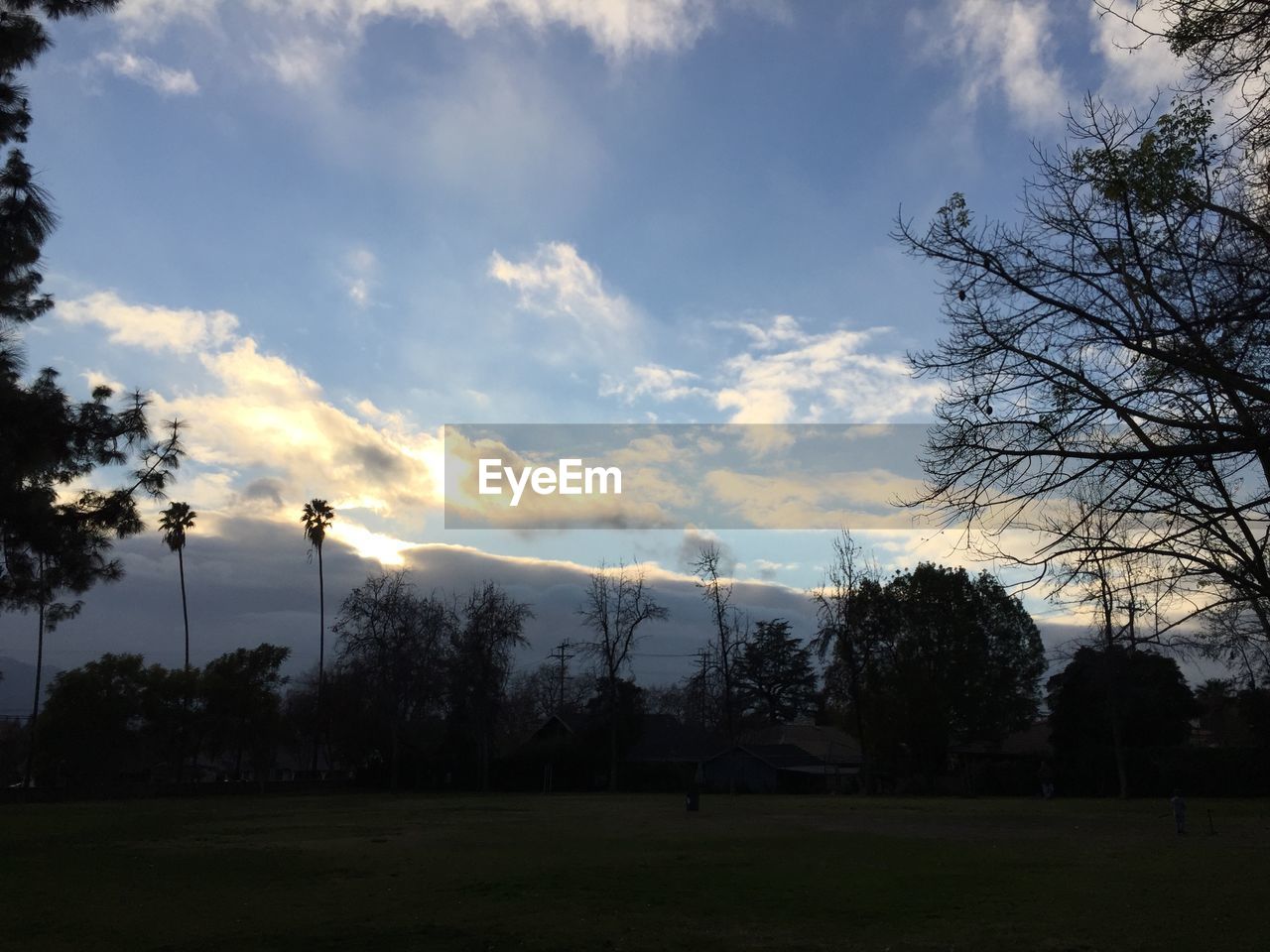 SCENIC VIEW OF FIELD AGAINST CLOUDY SKY