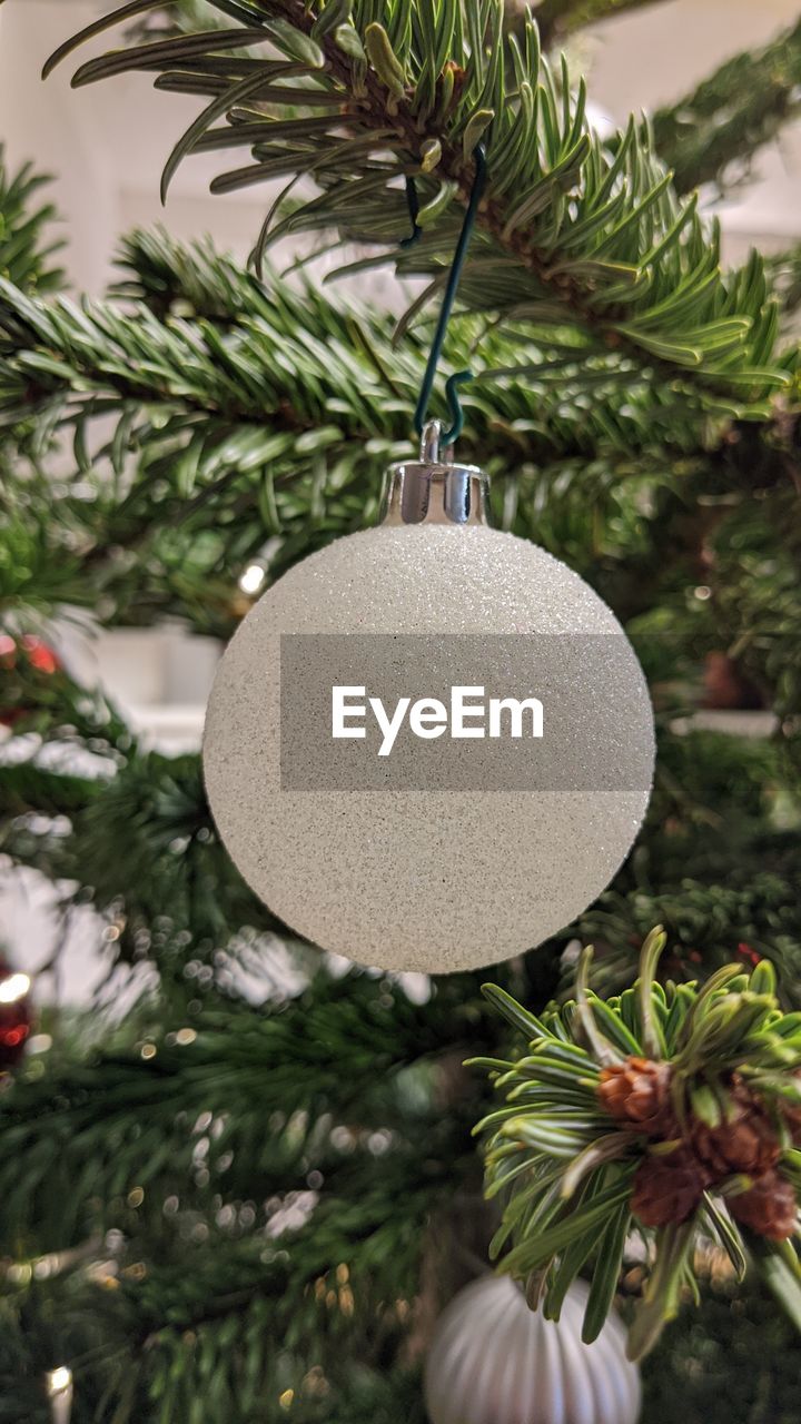 Close-up of christmas decoration hanging on tree