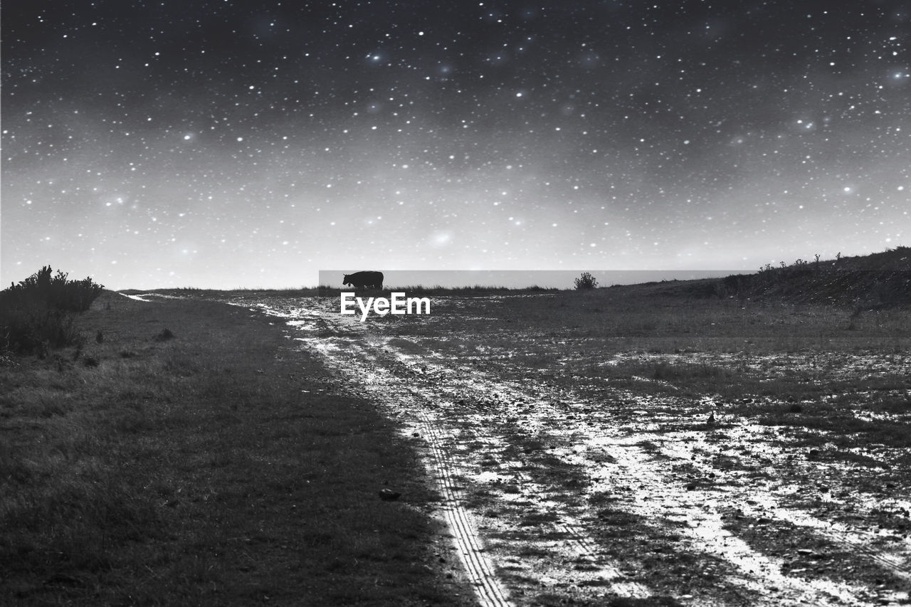 SCENIC VIEW OF ROAD ON FIELD AGAINST SKY