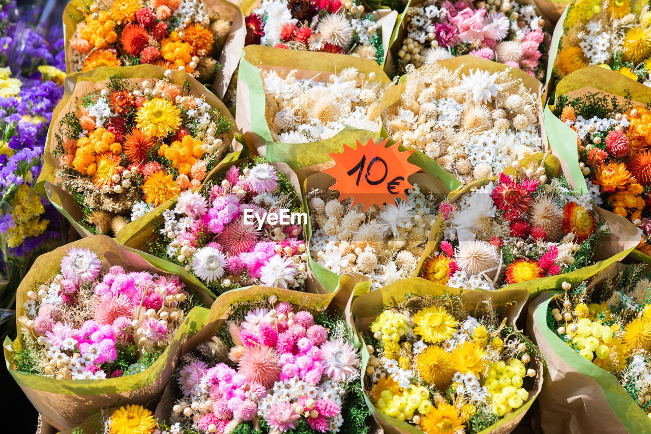 close-up of potted plants