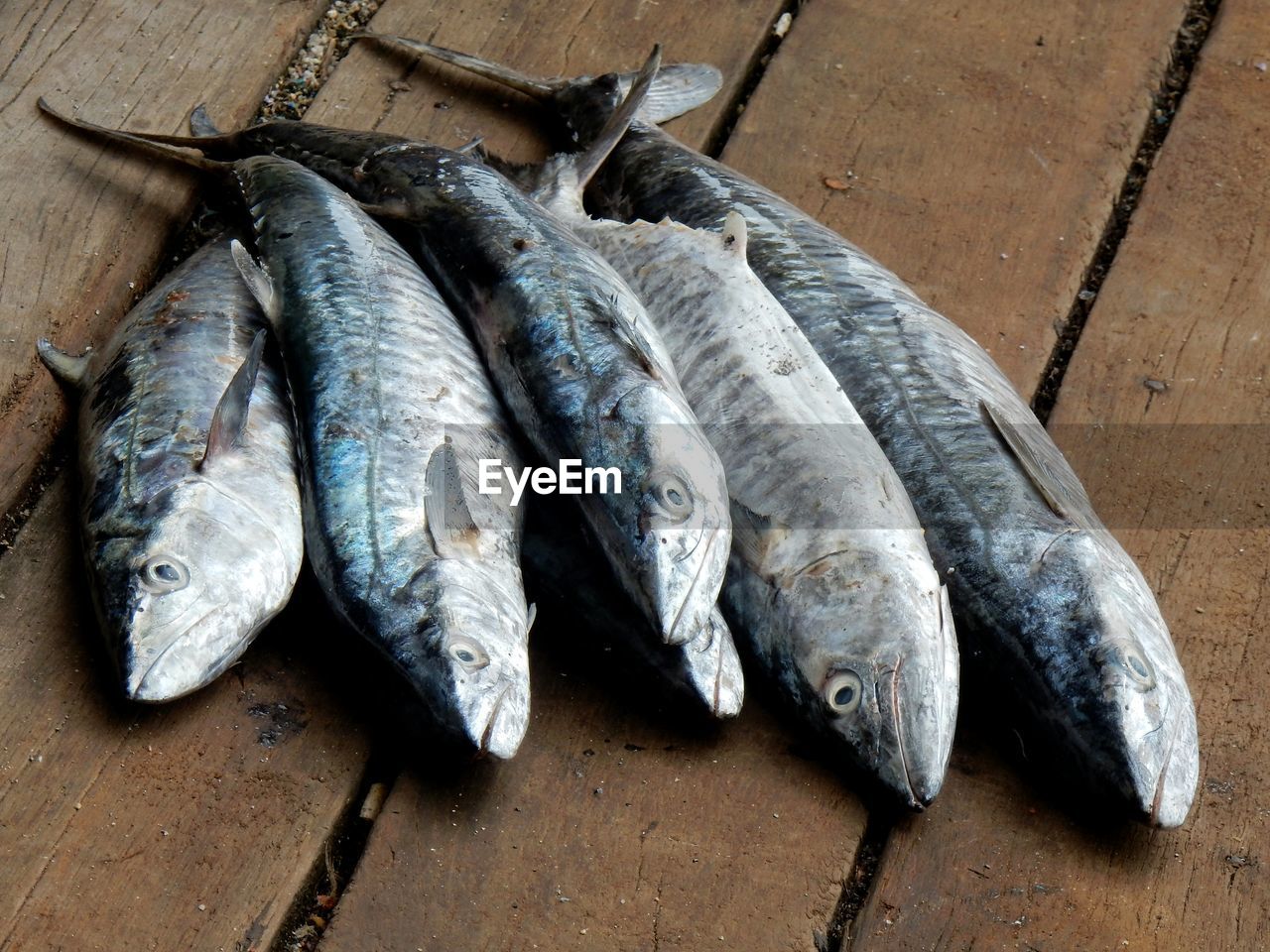 High angle view of fish on wooden table for sale in market