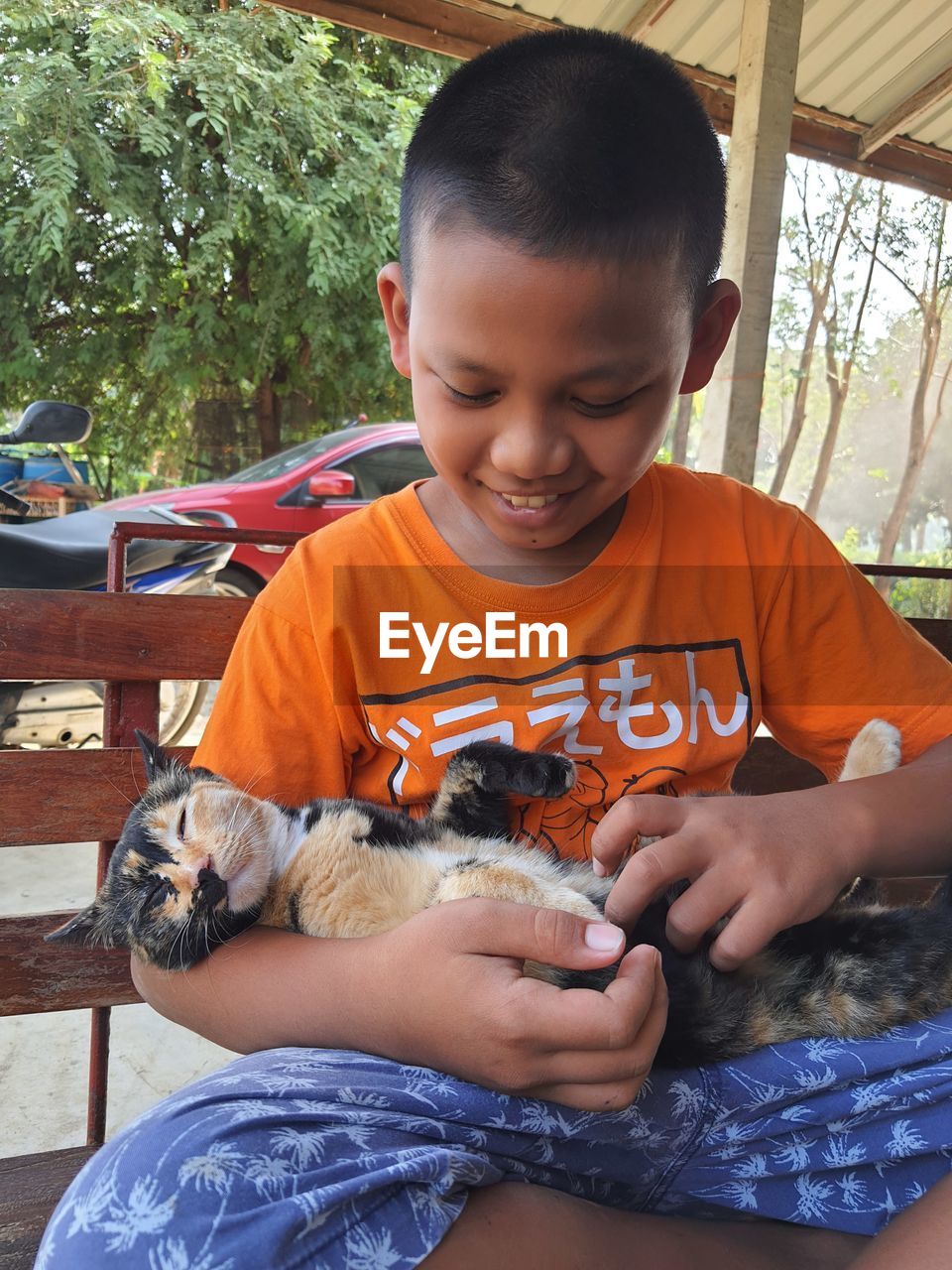 A boy playing with cat
