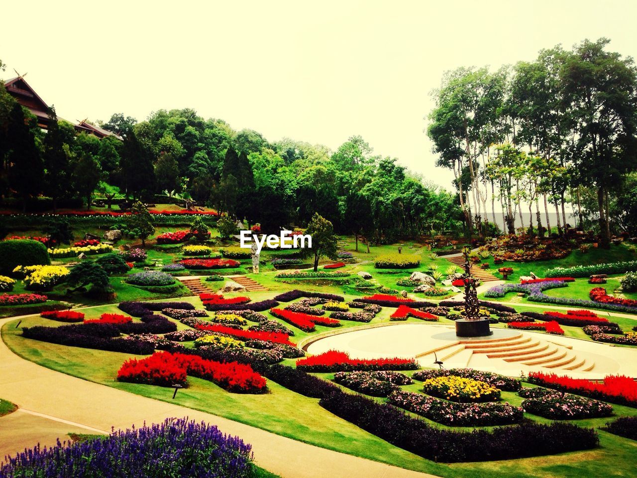 VIEW OF TREES AND PLANTS