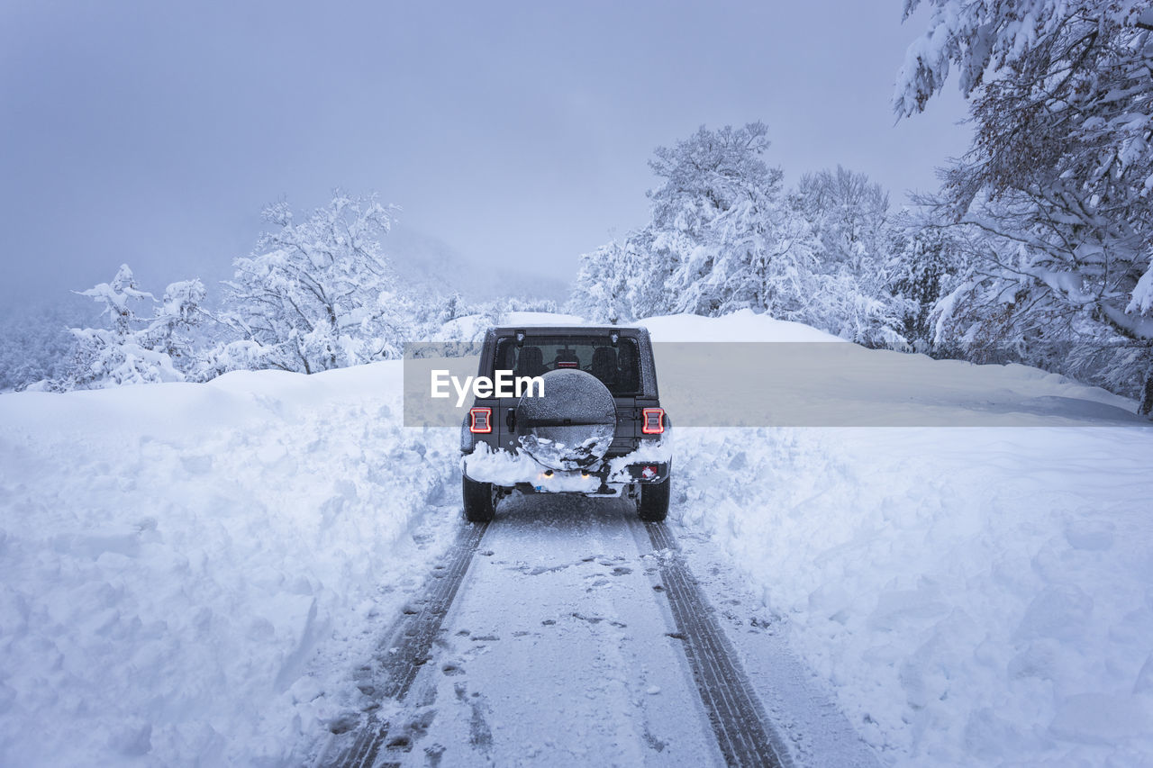 4x4 in snowy road inside a forest
