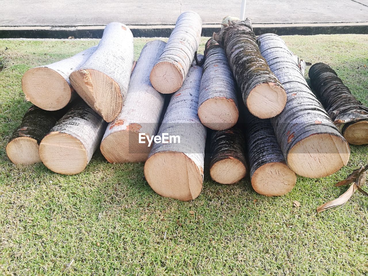 HIGH ANGLE VIEW OF LOGS ON WOOD