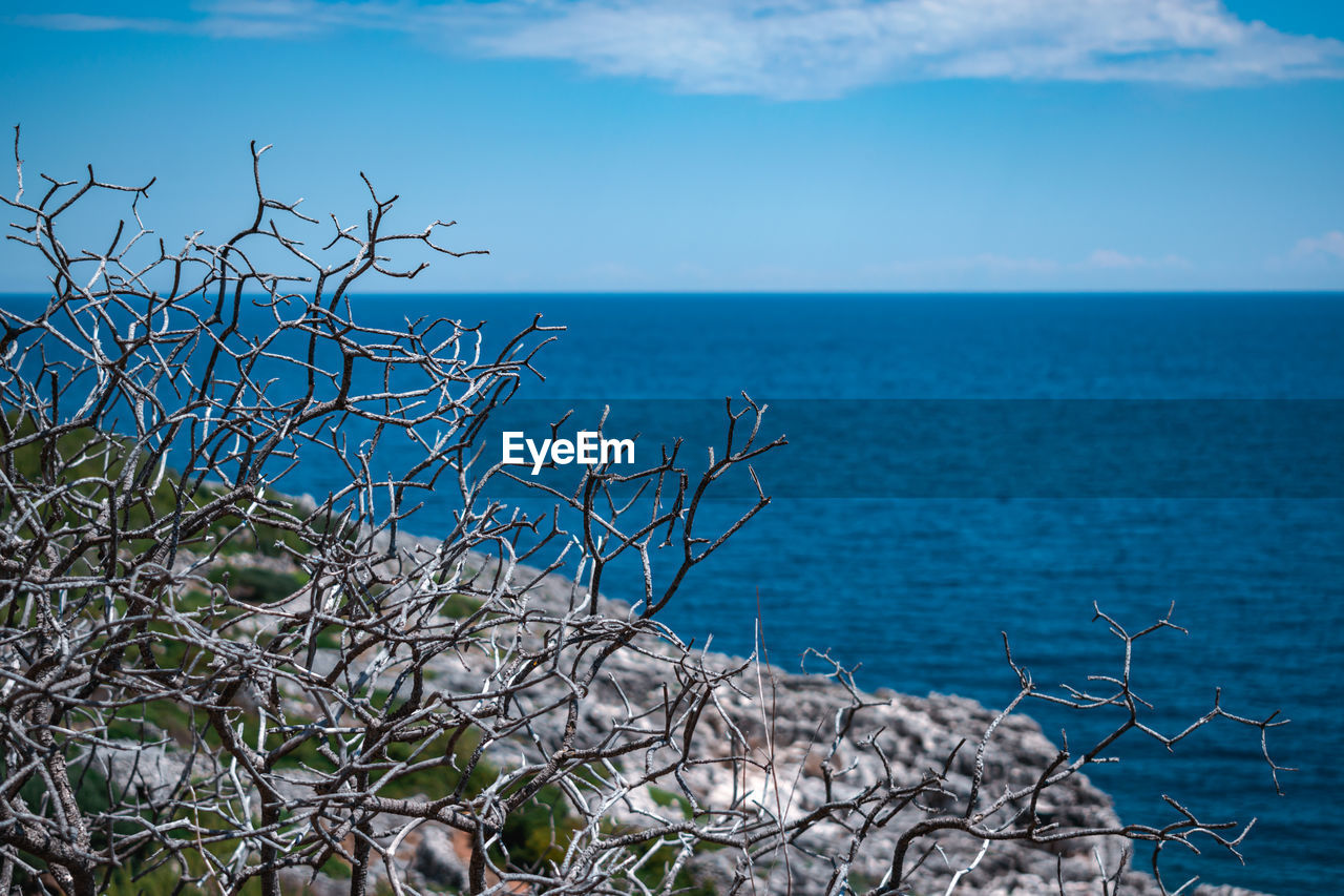 View on the sea in puglia