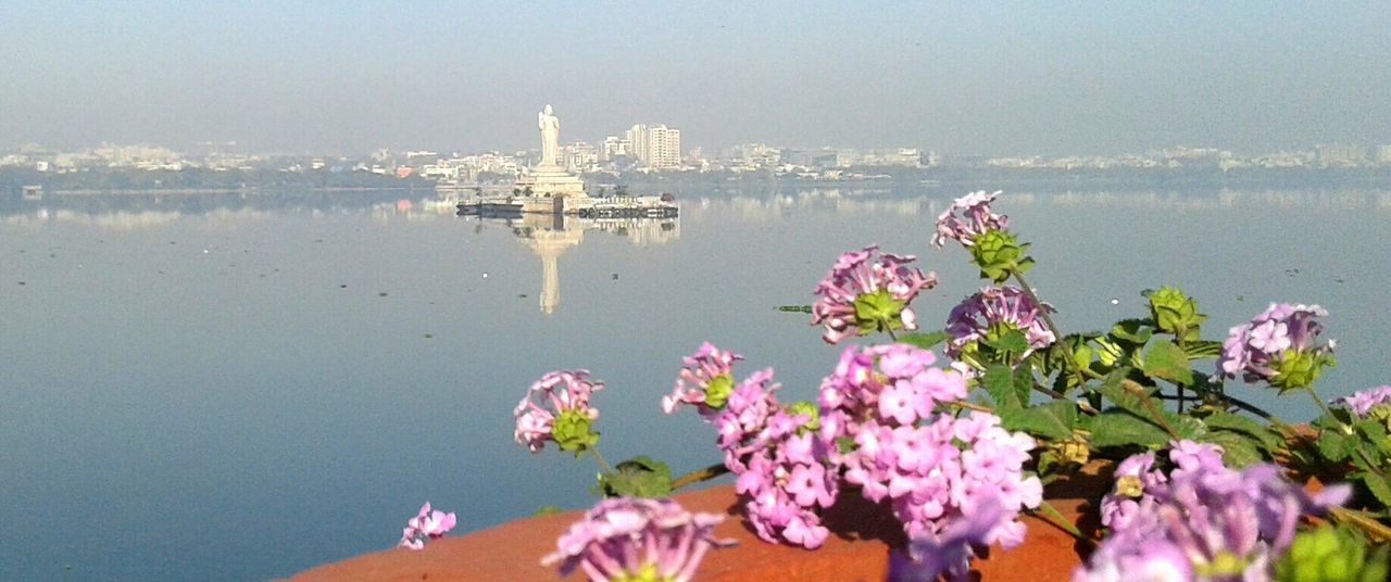 VIEW OF PLANTS IN WATER