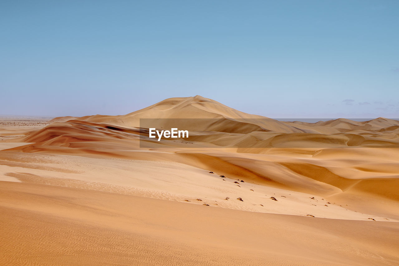 The sand dunes in namib desert