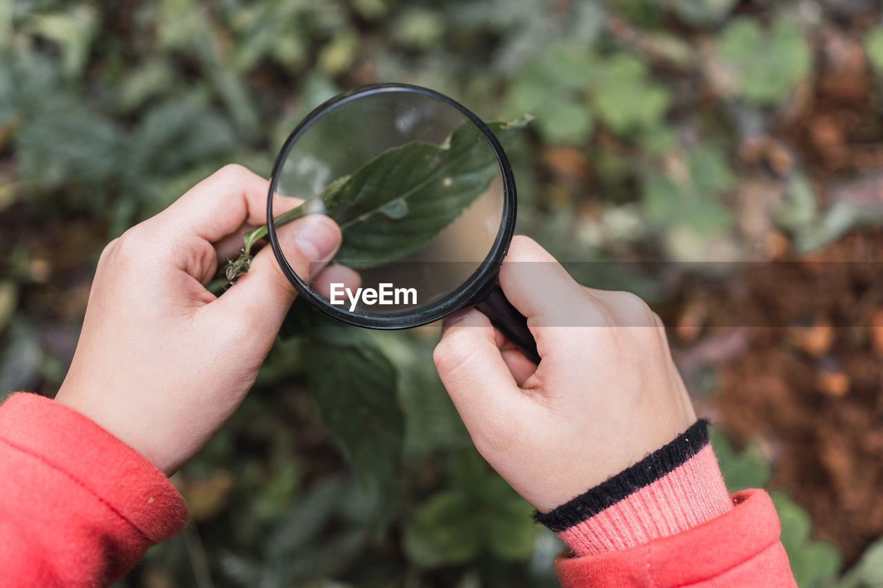 Cropped unrecognizable ethnic focused child with green plant leaf looking through magnifying glass in woods exploring forest in daytime