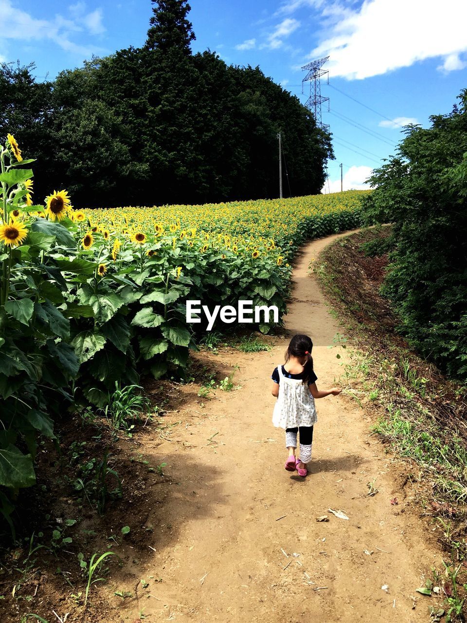 Full length of girl walking on footpath amidst field