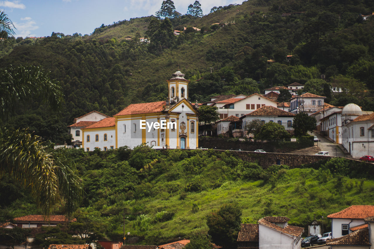 RESIDENTIAL BUILDINGS BY TREES AND MOUNTAINS