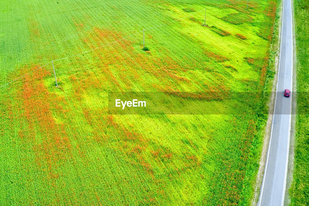 High angle view of agricultural field