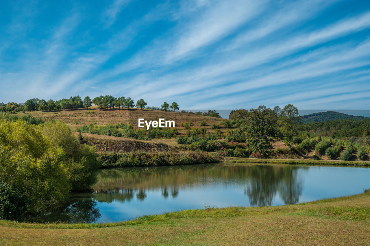 SCENIC VIEW OF LAKE WITH TREES IN BACKGROUND