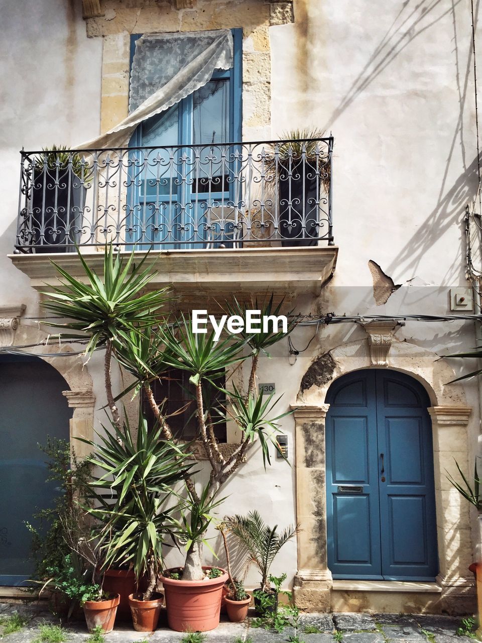 Potted plants outside old residential building