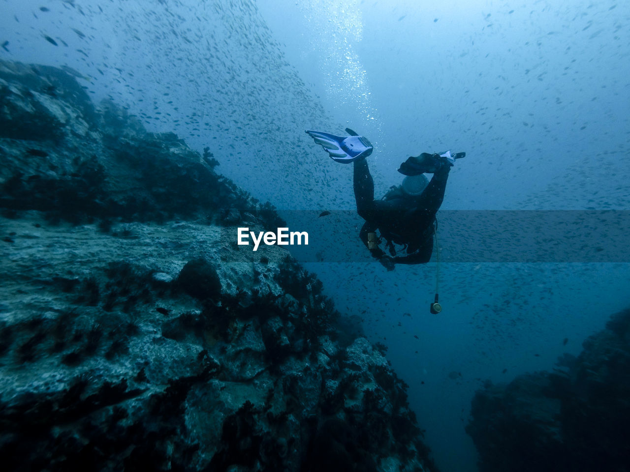 Full length of man swimming in sea