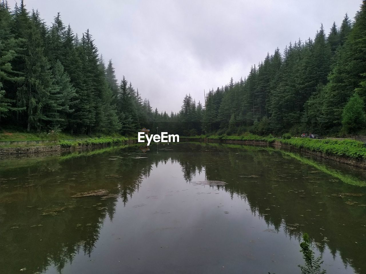 water, tree, plant, body of water, reflection, forest, beauty in nature, lake, scenics - nature, sky, nature, tranquility, cloud, tranquil scene, coniferous tree, environment, pine woodland, land, pinaceae, pine tree, landscape, non-urban scene, no people, reservoir, green, travel destinations, bank, tourism, wilderness, woodland, outdoors, travel, mountain, day, waterway, idyllic, watercourse