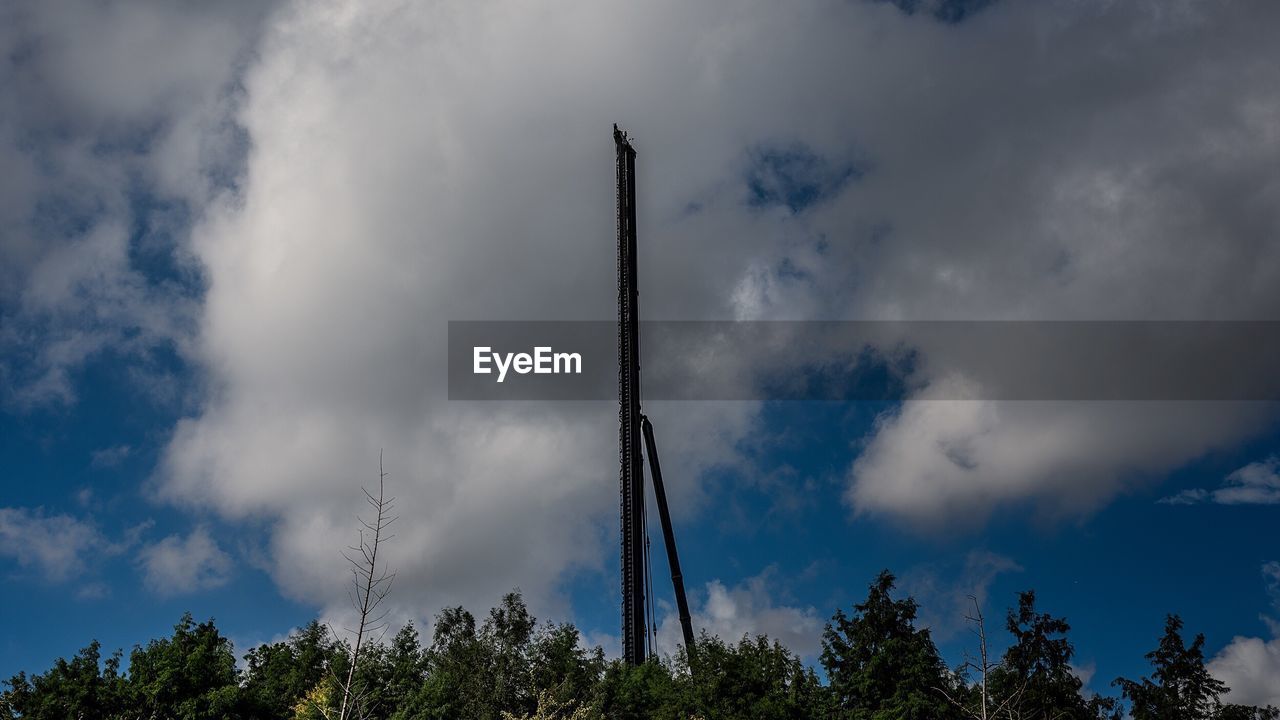 LOW ANGLE VIEW OF TREES AND SKY