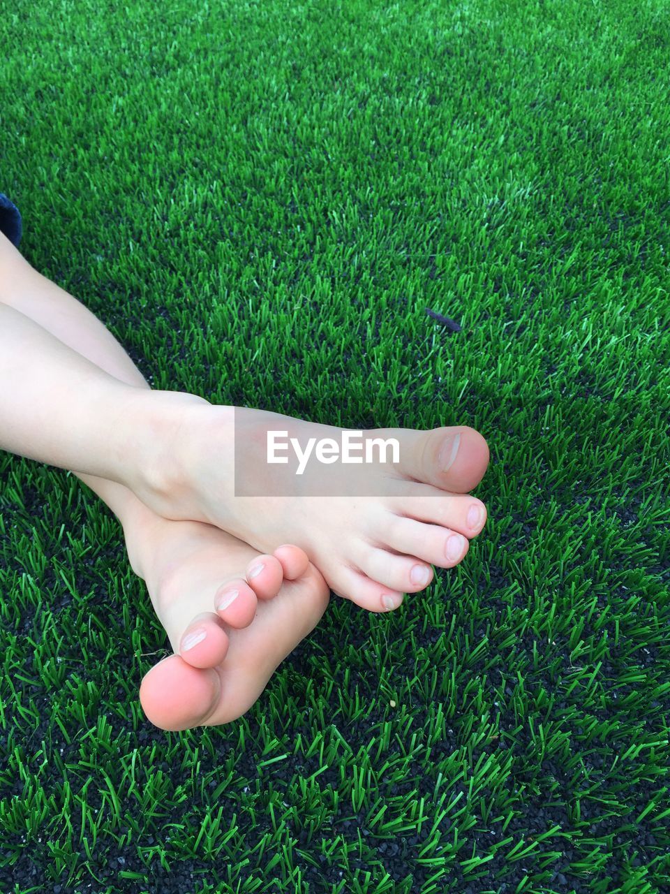 Low section of child on grass