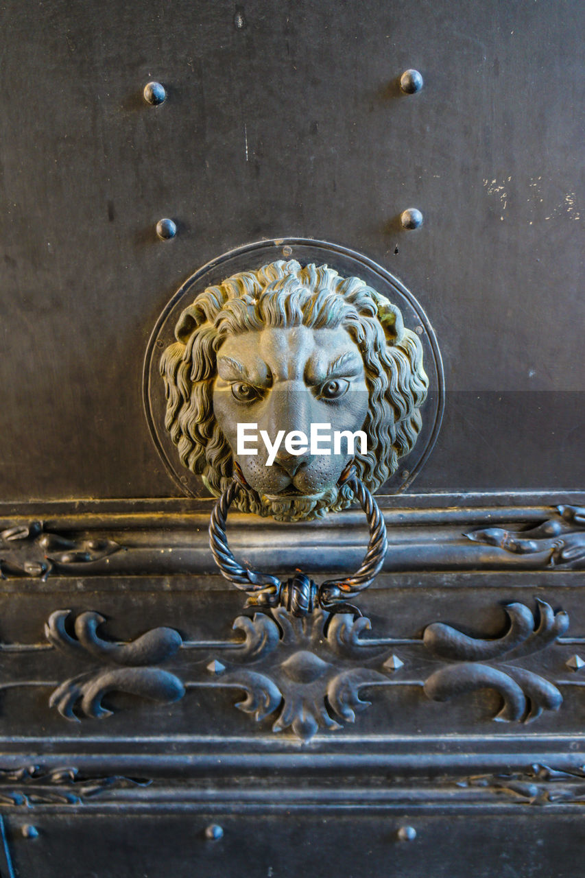 Close-up of lion door knocker