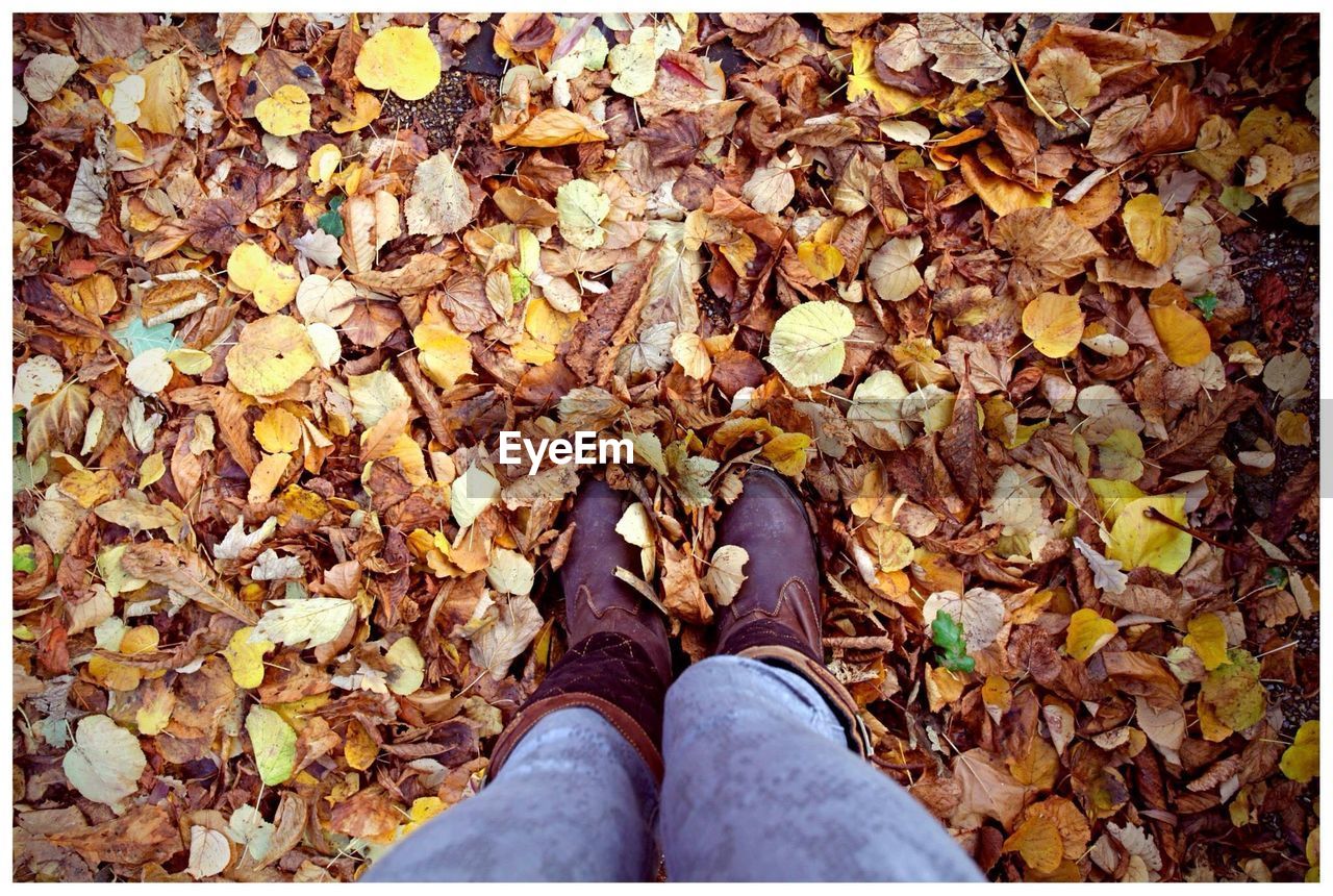 Low angle view of person standing on fallen leaves during autumn