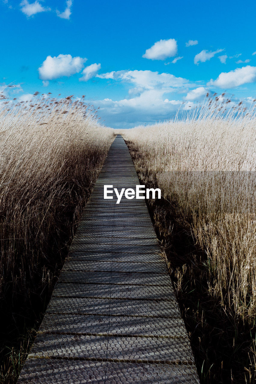 View of footpath amidst field against sky