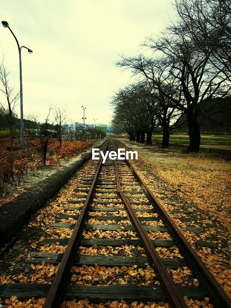 Railroad track in autumn