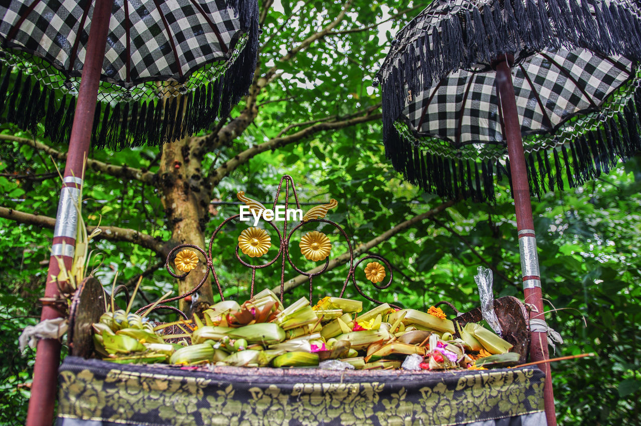 Low angle view of religious offerings against trees in forest