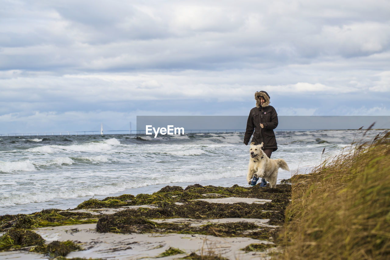 Woman with dog walking on beach