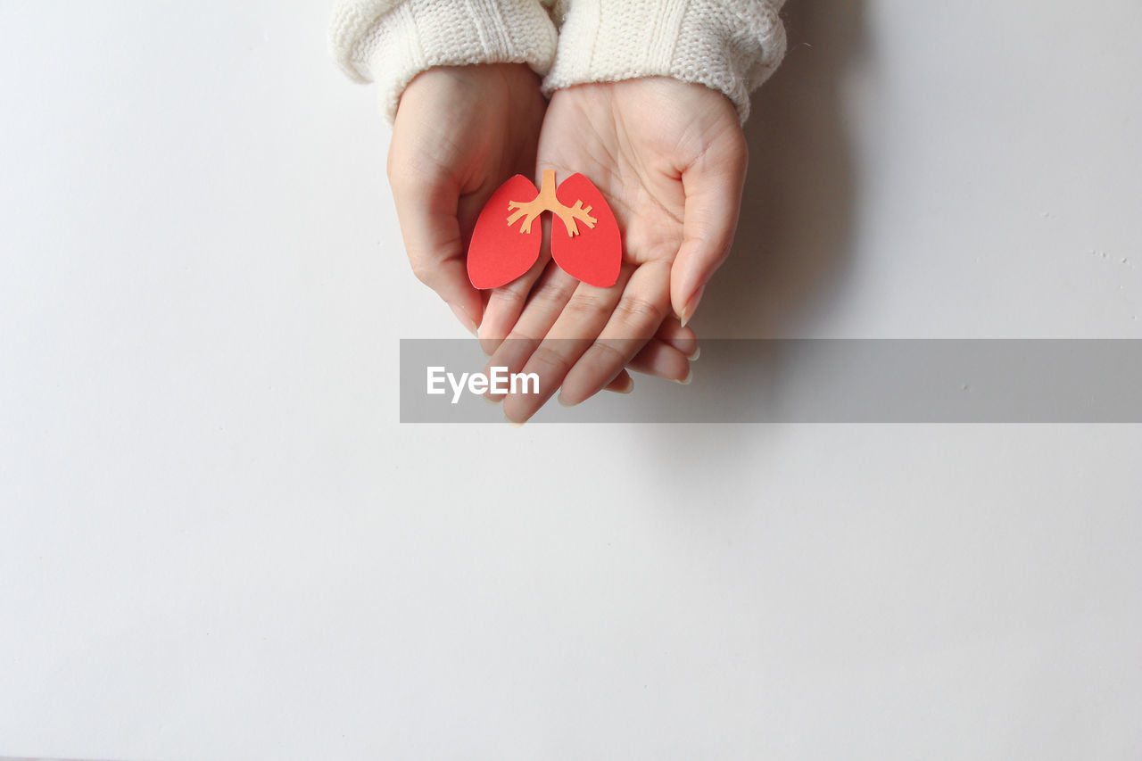 cropped hand of woman holding red toy against white background