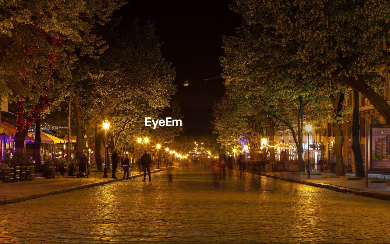 Blurred motion of people on illuminated city street